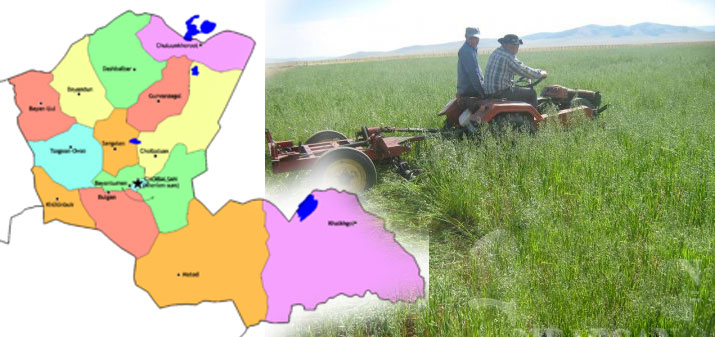 П.Ганхуяг: Үнэ хямд, чанар сайтай өвс татахаар төлөвлөж байна