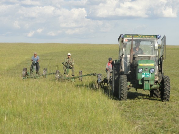 Д.Баярбат: Өвс, тэжээл бэлтгэх бригад хадлангийн ажилдаа гарсан