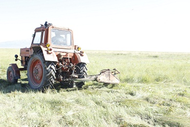 З.Лувсан: Хадлангаа бэлтгээд дуусч байна