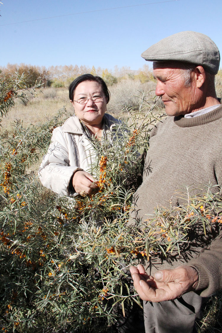 Баруун хязгаар нутгийн баян намар