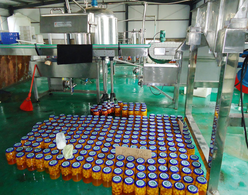 Т.Жаргалсайхан: Эх орны хөрсөнд ургасан ногооны салат манай брэнд