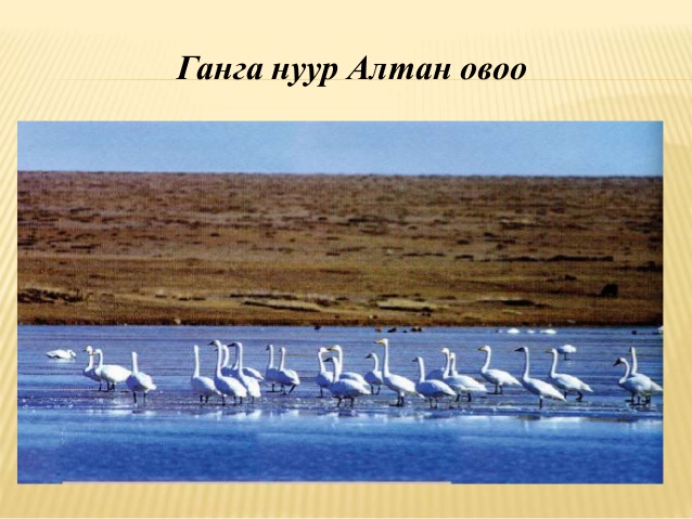 Мөхлийн ирмэгт очсон Ганга нуурыг хамгаалахаар боллоо