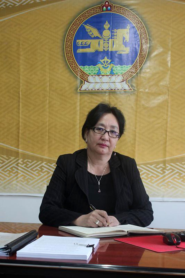 Д.Сэлэнгэ: Дөрвөн сумын ажлыг  шалгахад Орхон 90.5 хувьтай үнэлэгдсэн