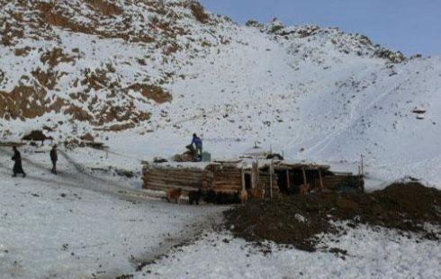 Өвөлжилтийн бэлтгэлд зориулж нэг аймагт 150-250 сая төгрөг хуваарилахаар боллоо