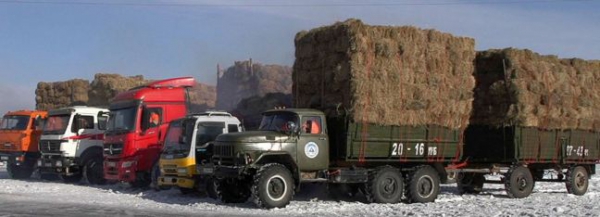 Төв аймгийн малчид руу тусламжийн цуваа хөдөллөө