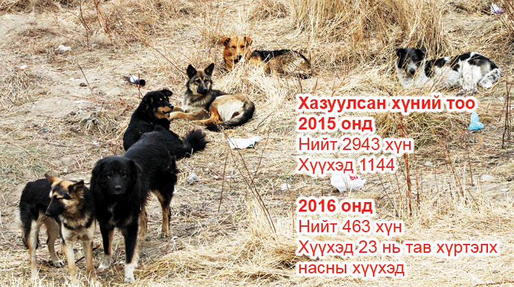 Нохойн эздийг өөгшүүлэхээ больё