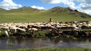 “Сайн малчин” хөтөлбөрөөр 21 мянга гаруй хүн зээл авчээ