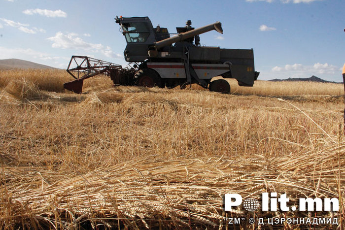 Наран шаргал намар
