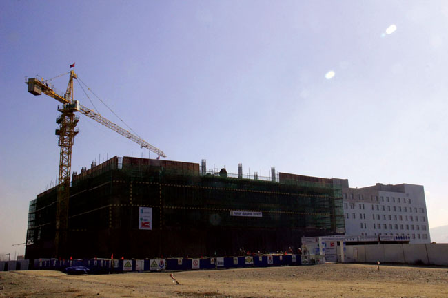 Ботаникт эмнэлэг, сургуулийн цогцолбор сүндэрлэнэ