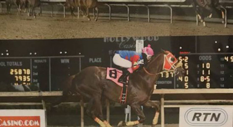 Ц.Цэнгэл манлайн хоёр дахь хүлэг АНУ-д түрүүлжээ