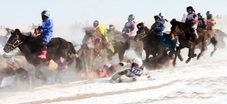 Унаач хүүхдийн асуудал  НҮБ-ын чихэнд хүрчээ