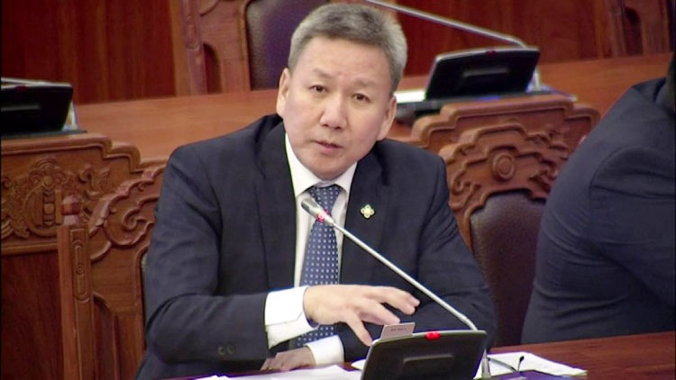 Хүний эрхийн дэд хорооны бүрэлдэхүүнд Л.Болдыг оруулав