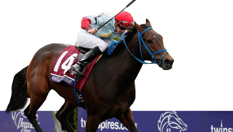 Унаач хүүхдийг  Жокейгоор сольё