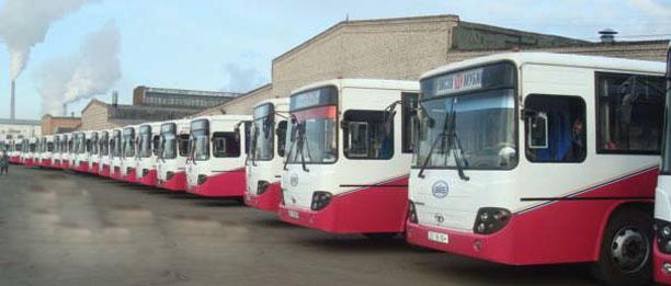 Цагаан сараар нийтийн тээвэр үнэ төлбөргүй үйлчилнэ