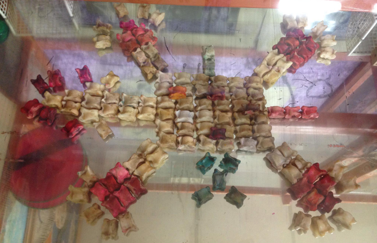 Цагаан сар ба оньсон тоглоом