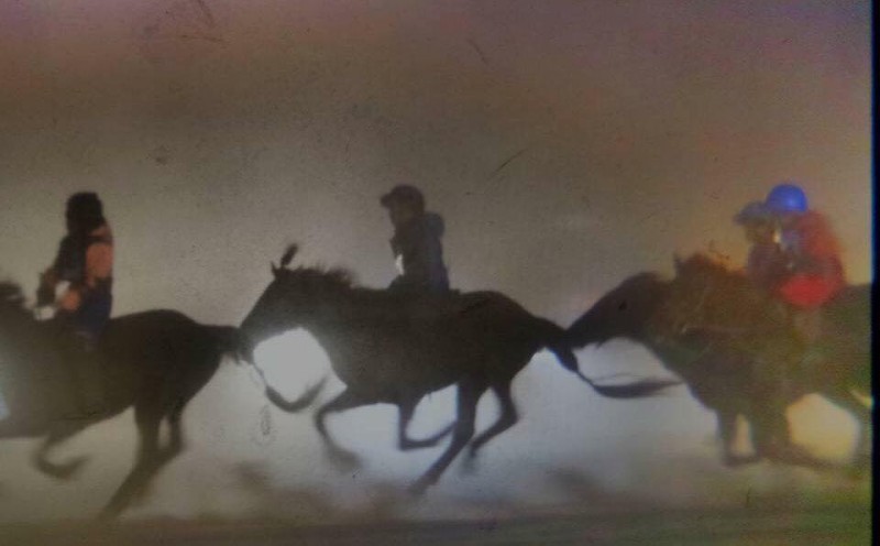 ММСУЯ-ны тэргүүлэгчдийг бүрэлдэхүүнээр нь огцруулж, уяачдын цолыг хураах санал гаргажээ