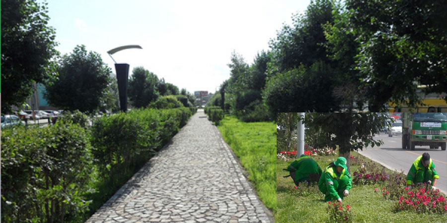 Ногоон байгууламжийг нэмэгдүүлэхэд Эрээн хоттой хамтарна