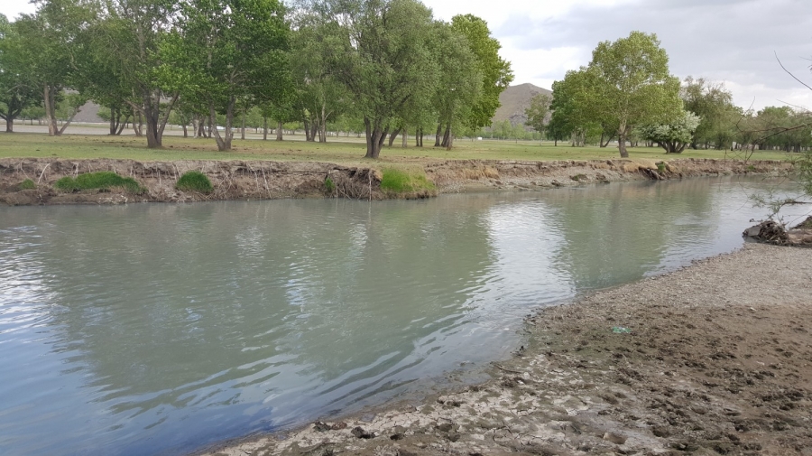 ЗГ:Туул голыг тусгай хамгаалалтад авна