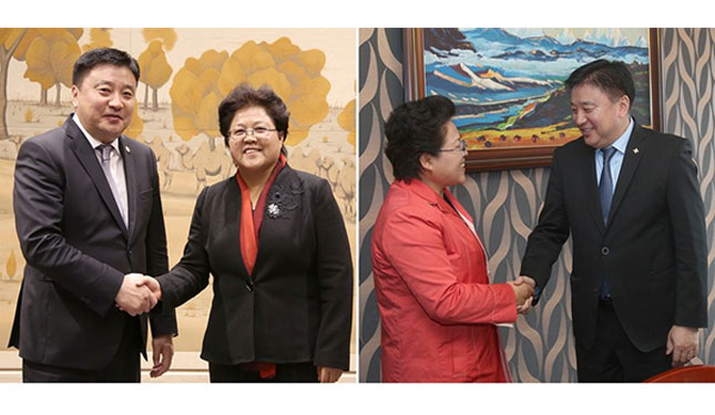 Гурван өдөрт хоёр хотод хийсэн ажил хэрэгч уулзалт