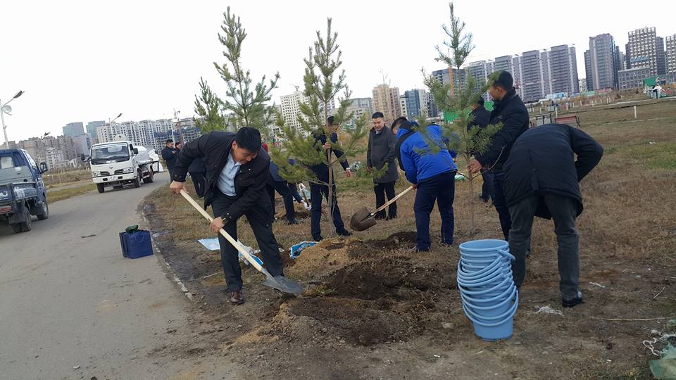 Маргааш бүх нийтээр мод тарих өдөр