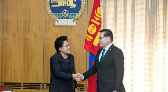 Шадар сайд Ө.Энхтүвшин эдийн засгийн хамтын ажиллагааны бүсийн бүтээн байгуулалтын талаар санал солилцлоо