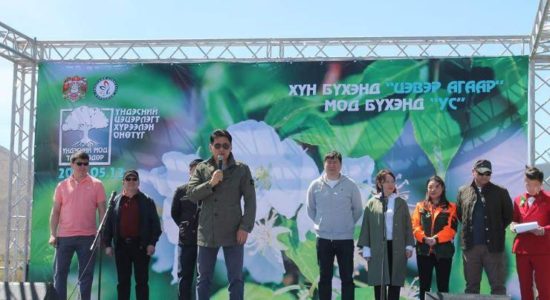 Энэ хавар найман төрлийн 5000 мод тарина