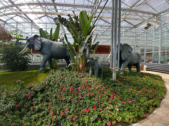 Өөрчлөгдсөн 40 жилийг Өвөрмонголоос сурвалжиллаа