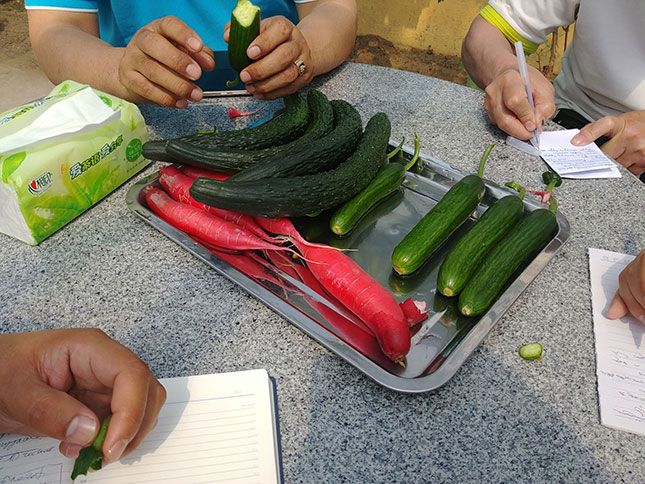 Хүрз хэрэглэхгүйгээр мод тарьж, услахгүйгээр ургуулж байгааг үзэв