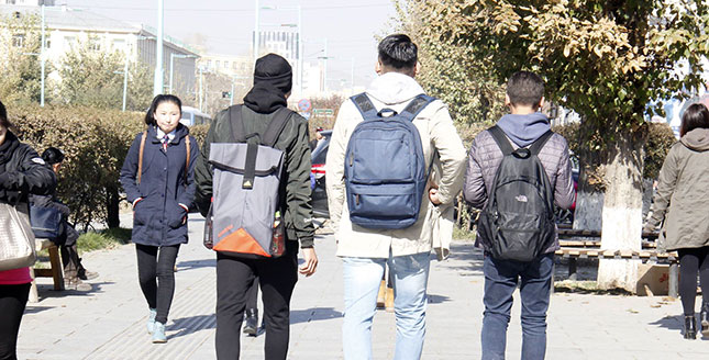 Жил бүр зарлагддаг тэтгэлэгт хөтөлбөрүүд