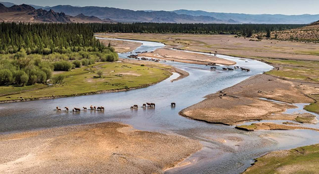 Нутгийн бор толгод нулимстай хүлээх нь бий