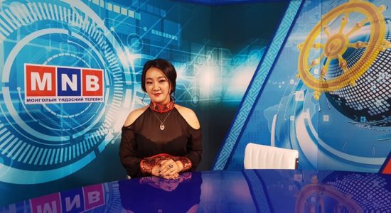 Д.Бямбацэцэг: Сэтгүүлчид нэгдэхгүй бол эрэн сурвалжлага хадны цуурай төдий байна