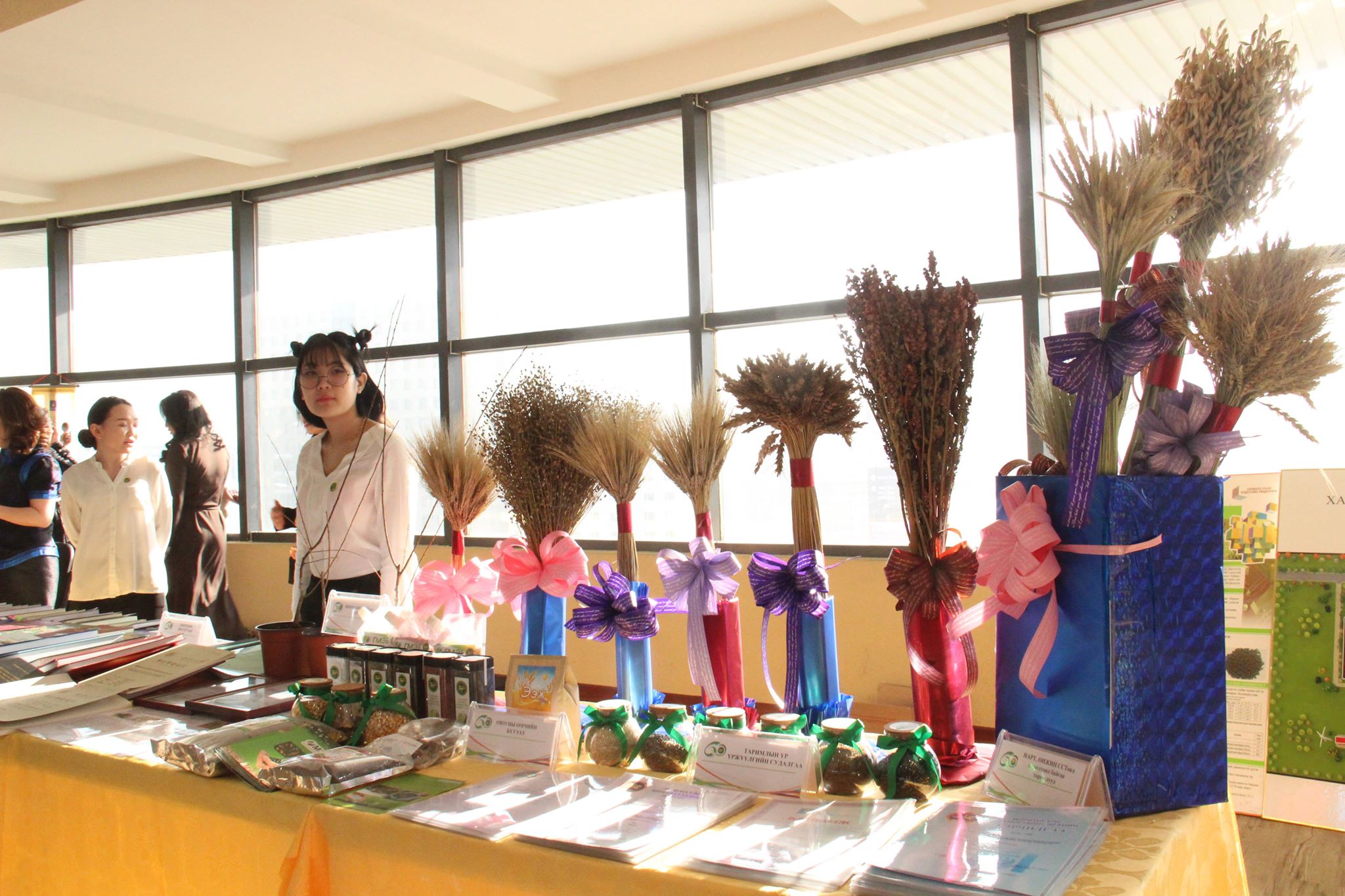 Сибирийн чавгыг Монголд нутагшуулжээ