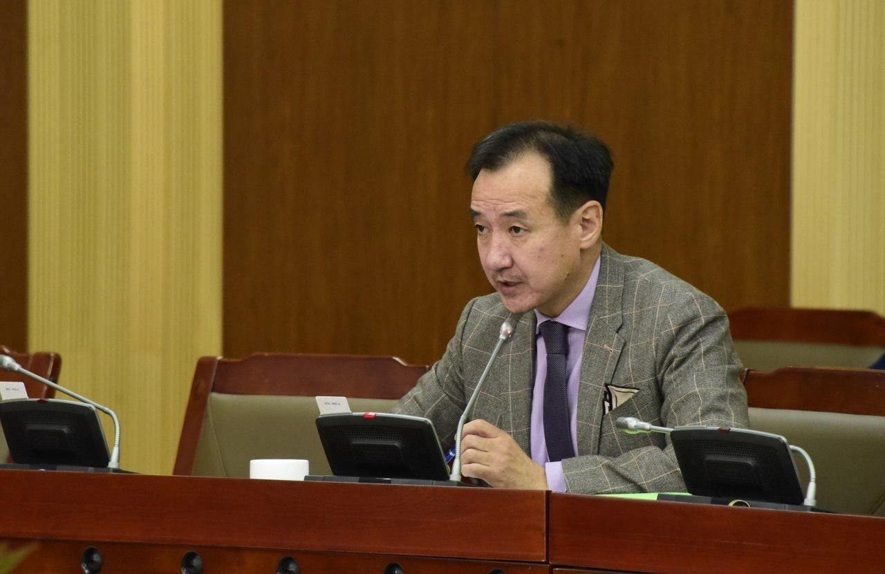 Монголын ЭСЯ-ны зардлыг Эмират улс хариуцахаа мэдэгджээ