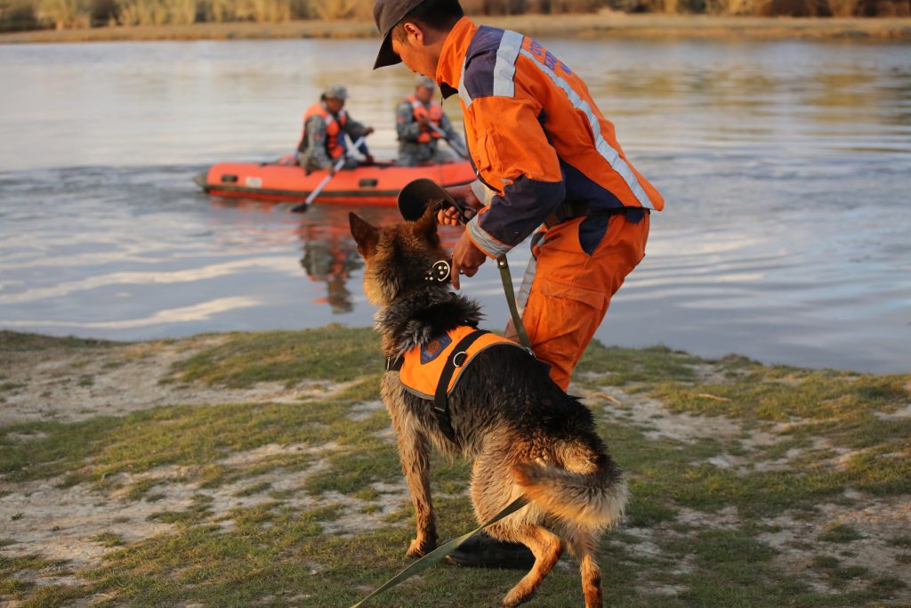 Аврагчдад мэргэшлийн зэрэг олгохоор боллоо