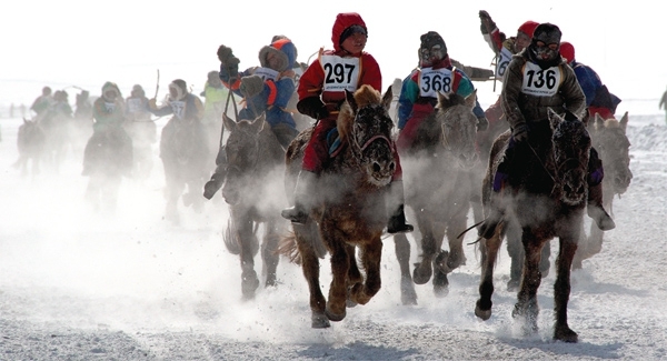 Морин уралдаан зохион байгуулахгүй байхыг Засаг дарга нарт санууллаа