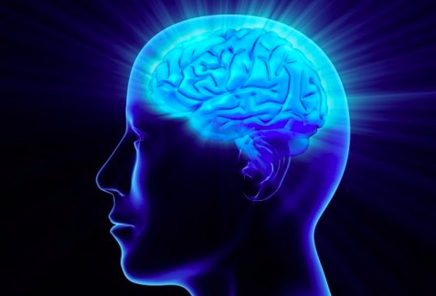 Ядуу учраас монгол хүний IQ доогуур байна, Гэхдээ...