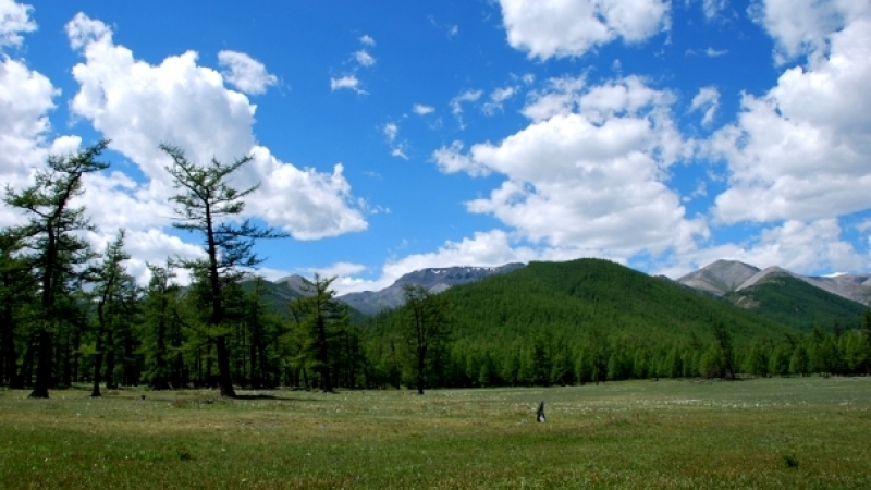 Нийслэлийн ногоон бүсэд амралт, аялал зугаалга зохион байгуулахыг хориглолоо