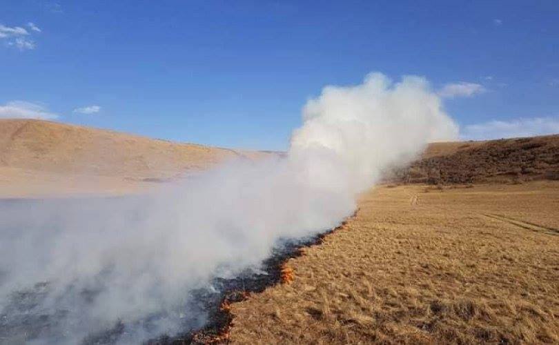 Шилийн богдод гал тавьсан этгээдүүдийг илрүүлэн шалгаж байна