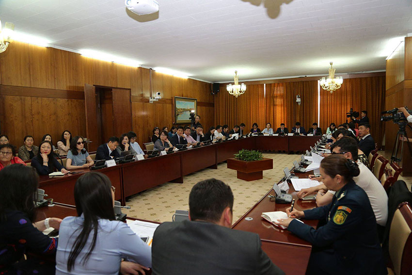 Хөгжлийн бэрхшээлтэй иргэдэд үйлчлэх сайн дурын баг ажиллана