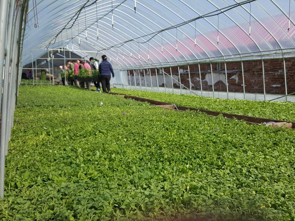 Цэцгэнд дурлагсдын зорих газар “Монгол флора”