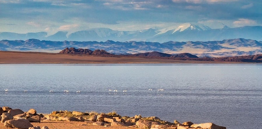 Дэвэлийн арал орчмыг тусгай хамгаалалтад авна