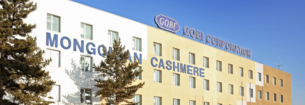 “Говь” ХК-ийн ажилтан лагийн талбайд унаж амиа алджээ