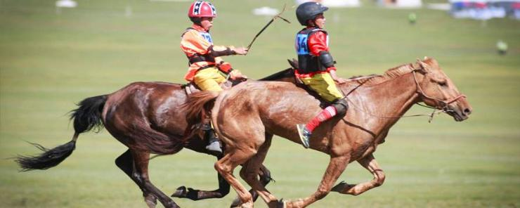 11 компани унаач хүүхдийн даатгал хийнэ