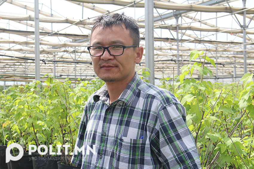 Х.Билгүүн: Хүчирхэг үндэстэй бортоглогдсон модыг хэдийд ч тарьж болно