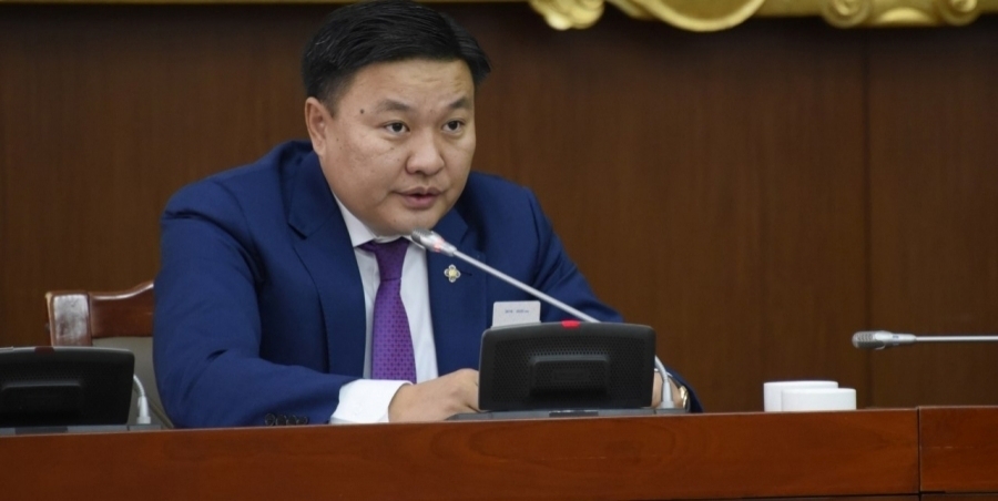 Н.Цэрэнбат: Идлэг шонхор шувууг ашиг олох зорилгоор агнахыг хориглолоо