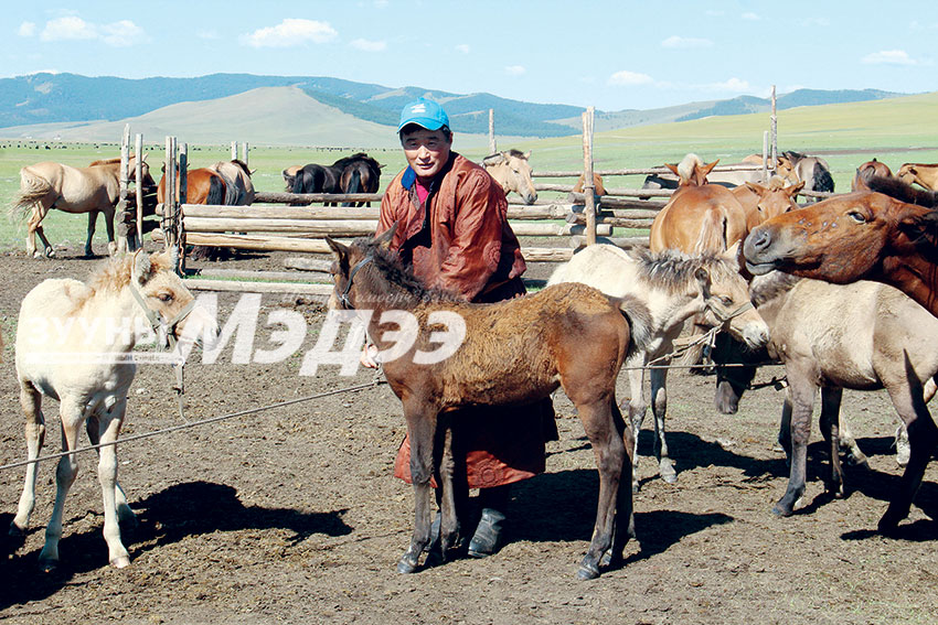 Айраг сөгнөж, найр тавьсан цагаан сүмийн голынхон