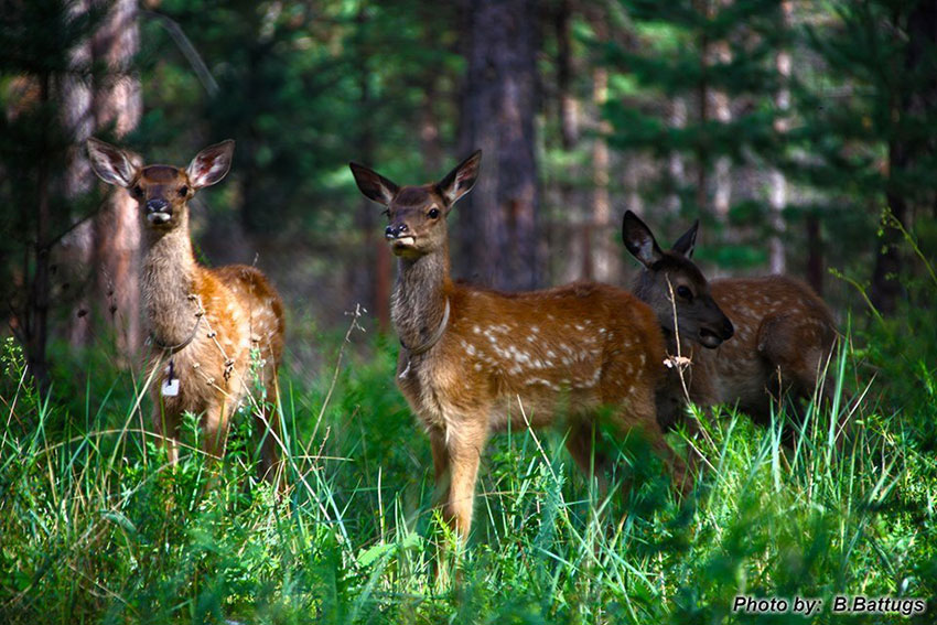 “Найрамдлын Эрдэнэс”-т эрхүүгийн хүүхдүүд зочилж байна