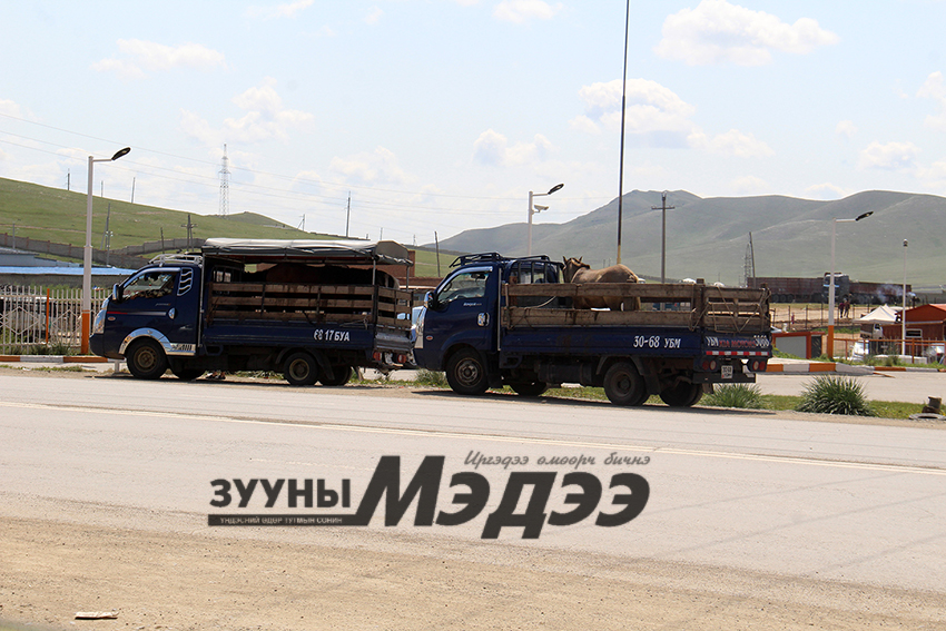 Адуу ачсан машинууд эмээлтэд хонож байна