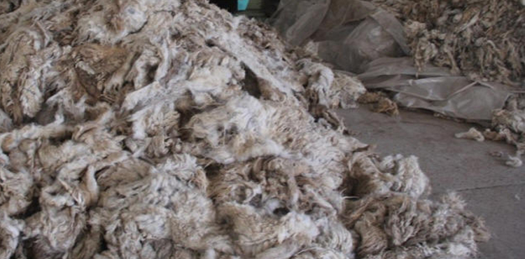 Ноосны урамшууллыг килограмм тутамд 1500-2000 төгрөгөөр тооцно