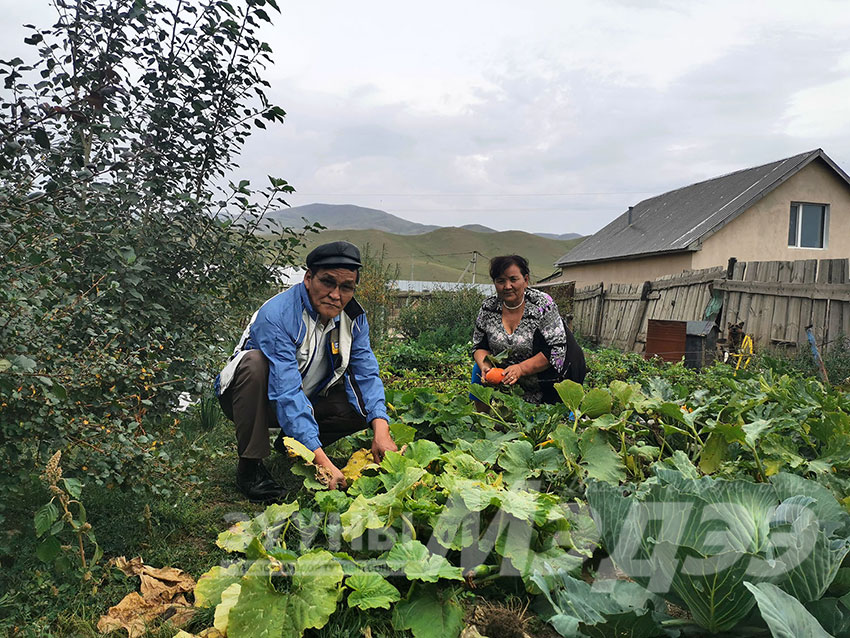 Атрын ууган охин